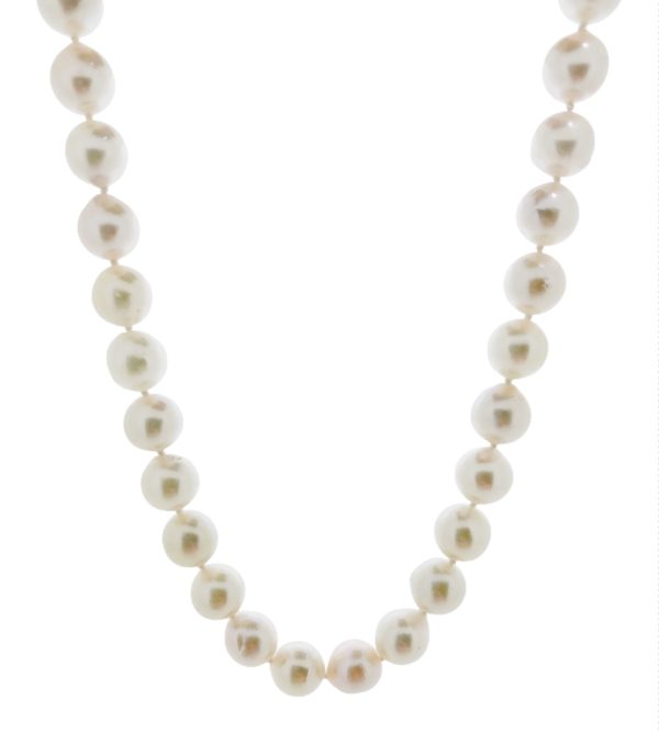 18ct white gold white pearl necklace