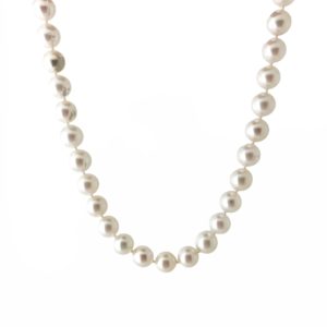 18ct white gold akoya pearl necklace